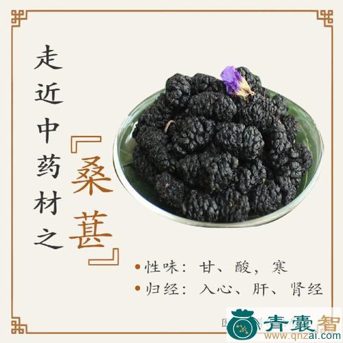 中药材桑粒图片