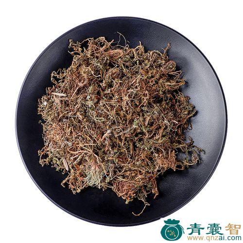 桑鹅的性状性味归经以及功效用法和注意事项-青囊智