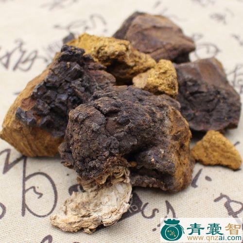 桦树的性味归经以及功效用法-青囊智
