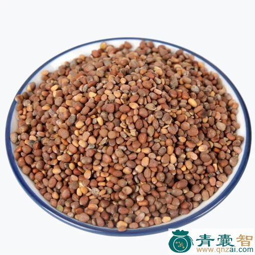 中药材桴棪子图片