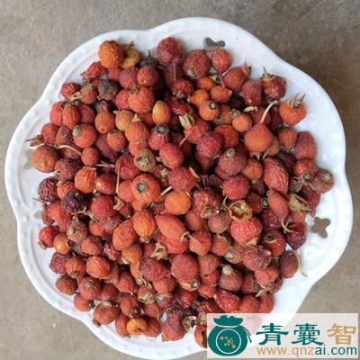 中药材梅花刺果图片