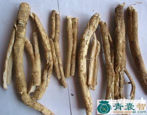 梅藓的性状性味归经以及功效用法-青囊智