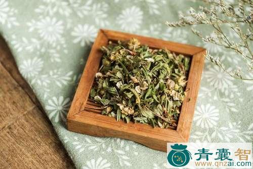 中药材梅露图片