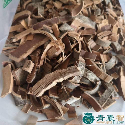 中药材梓木白皮图片