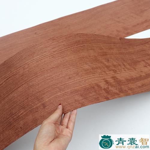 中药材梨木皮图片