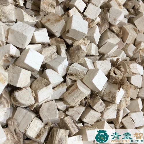 梭葛的性状性味归经以及功效用法和注意事项-青囊智