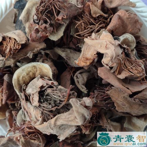 中药材棉花图片