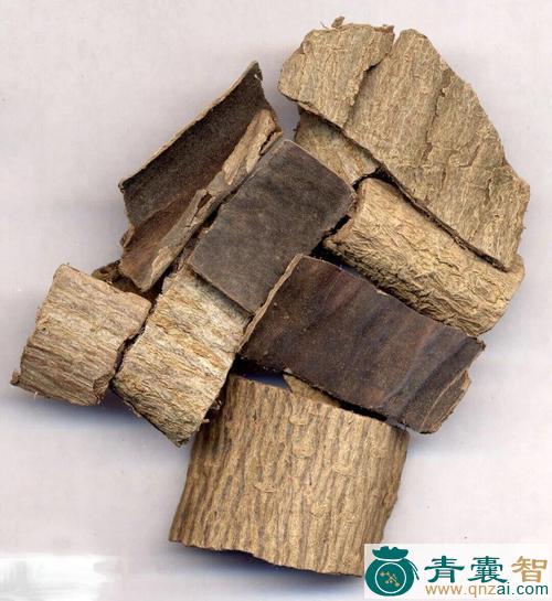 中药材棉花杜仲图片
