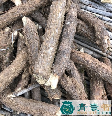 中药材棉花藤图片