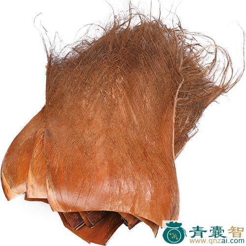 中药材棕毛图片