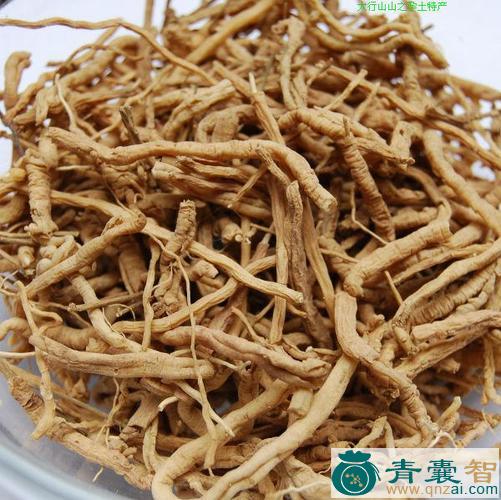 中药材棘菀图片