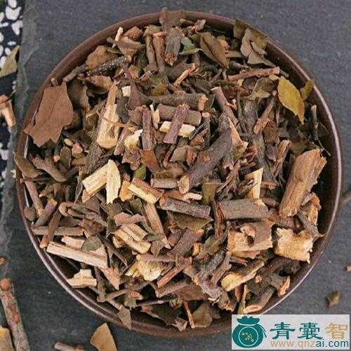 中药材椆树桑寄生图片