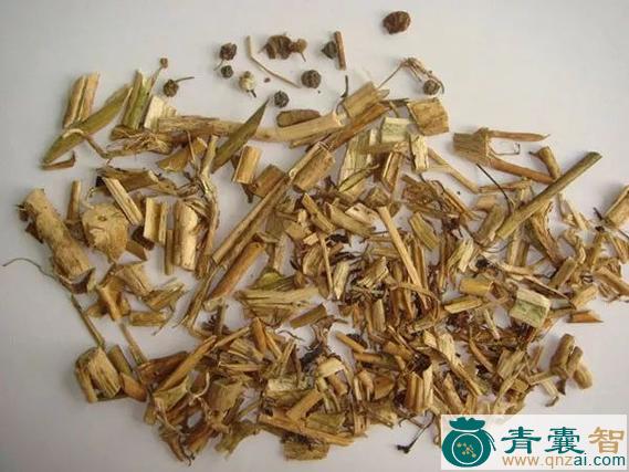 中药材楚葵图片