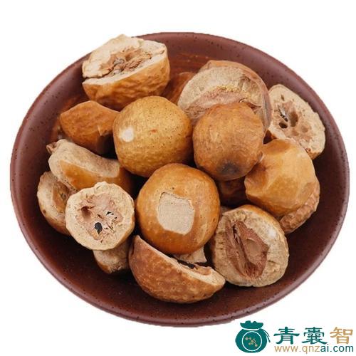 中药材楝子图片