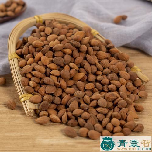 中药材楮李图片