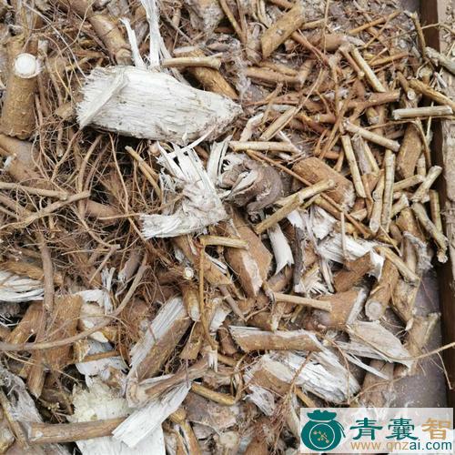 中药材楮树根图片