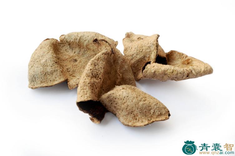 中药材榅桲皮图片