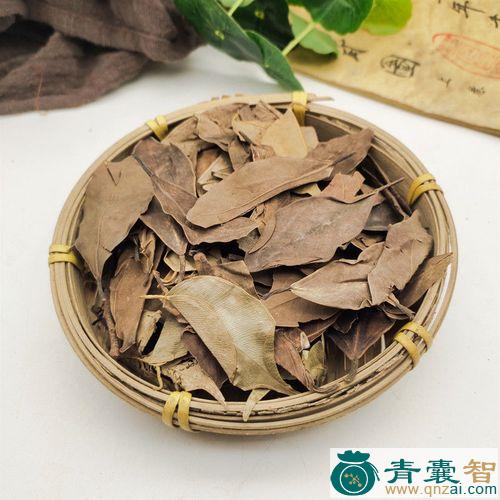 榕树叶的性状性味归经以及功效用法和注意事项-青囊智