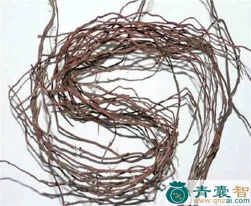 中药材榕树吊须图片