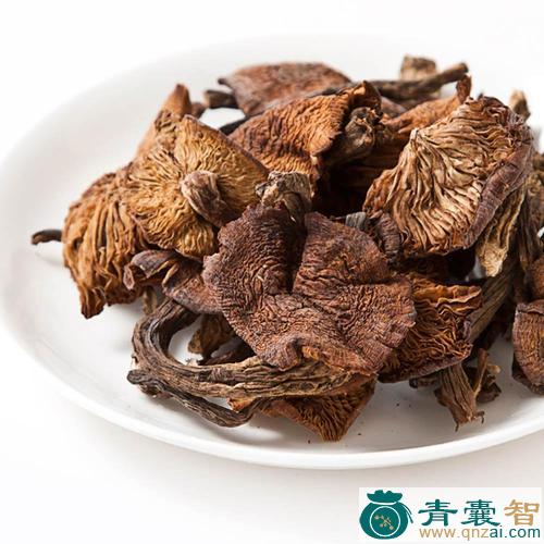 中药材榛蘑图片