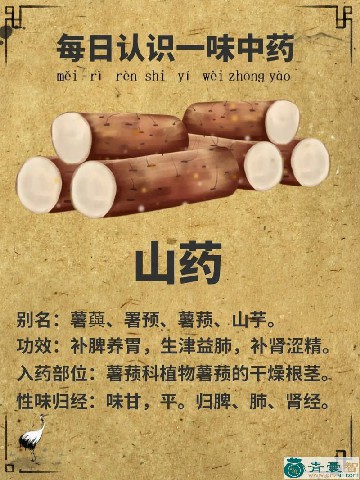 中药材榜薯图片