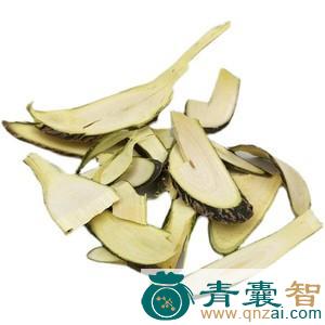 槐嫩蘖的性味归经以及功效用法-青囊智