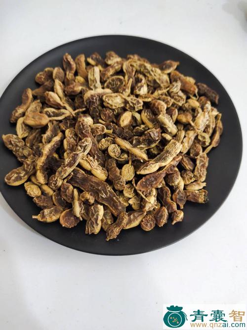 中药材槐荚图片