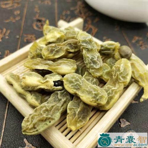 中药材槐角图片