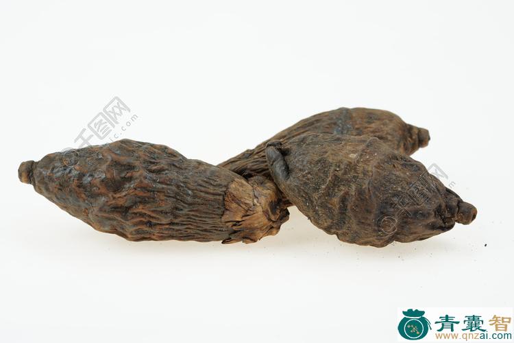 槟榔木的性状性味归经以及功效用法和注意事项-青囊智
