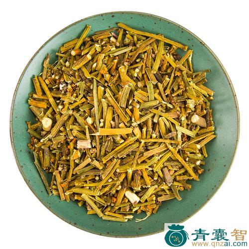 槲寄生的性状性味归经以及功效用法-青囊智
