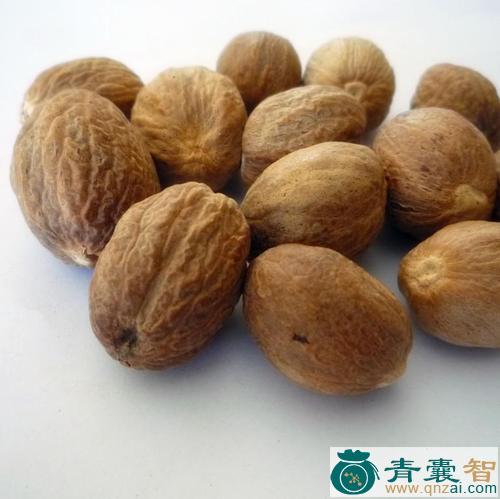 槵子肉皮的性状性味归经以及功效用法-青囊智