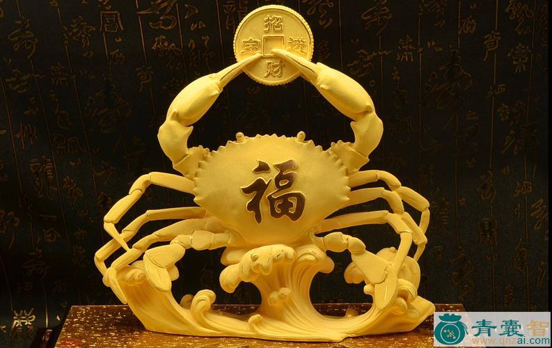 中药材横行介士图片