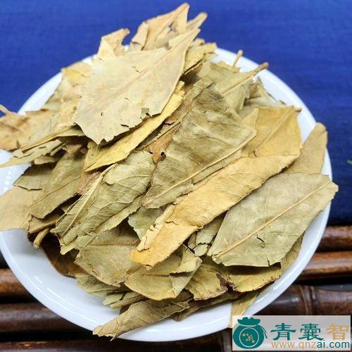 橘子叶的性状性味归经以及功效用法-青囊智