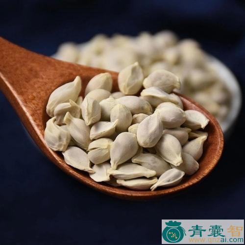 中药材橘子核图片