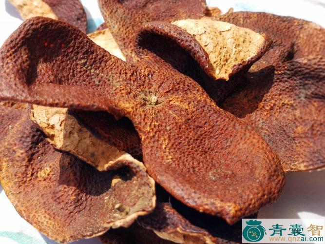橙皮的性状性味归经以及功效用法-青囊智