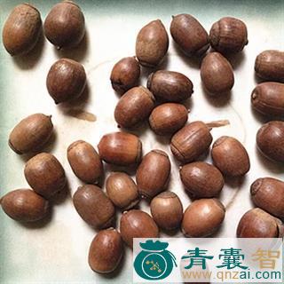 中药材橡实壳图片