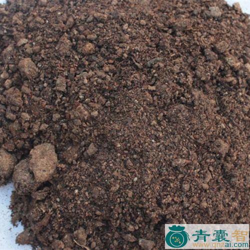 中药材檐老鼠屎图片