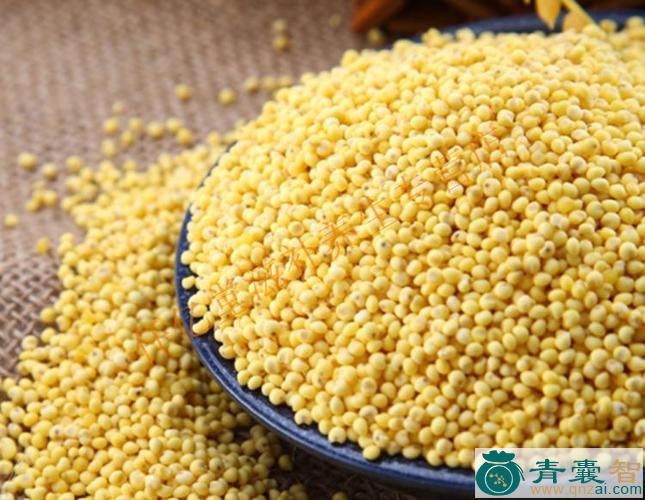 中药材檗米图片