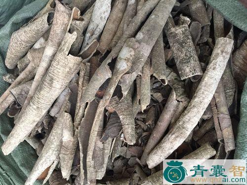 中药材止泻木皮图片