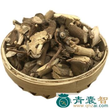 中药材歪叶子兰图片