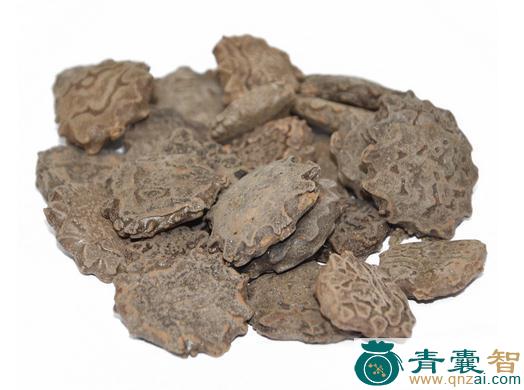 中药材毒鱼子图片