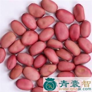 中药材毕豆图片
