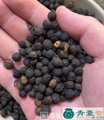中药材毗陵茄子图片