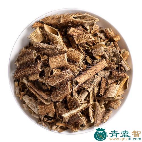 中药材毛五加图片