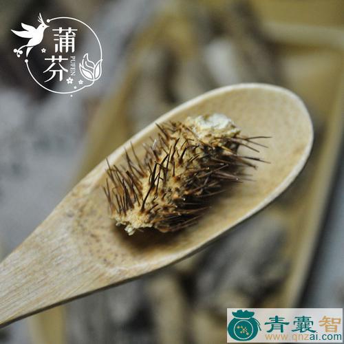 中药材毛刺头图片