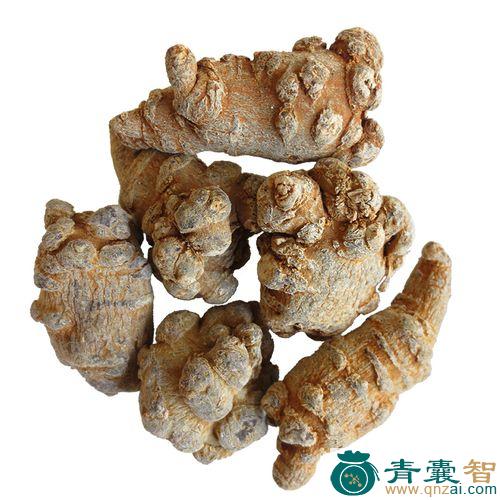 中药材毛头三七图片