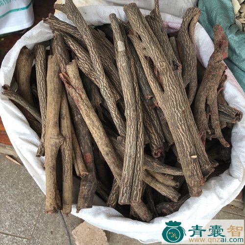 中药材毛杜仲藤图片