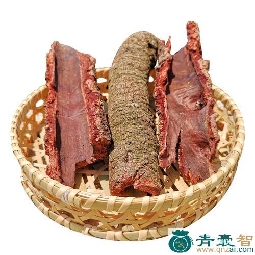 中药材毛杨梅根皮图片