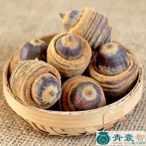 中药材毛果图片