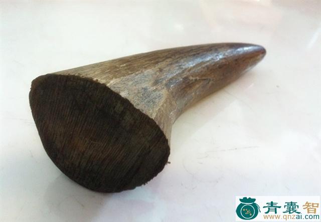 中药材毛犀图片